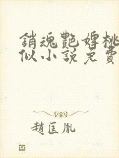 销魂艳婢桃儿类似小说免费阅读