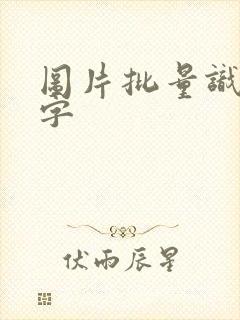 图片批量识别文字