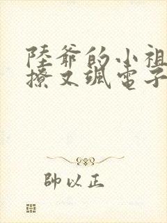 陆爷的小祖宗又撩又飒电子书