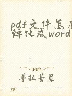 pdf文件怎么转化成word文件