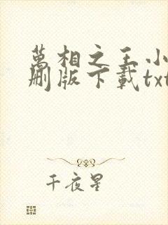 万相之王小说未删版下载txt