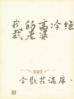 我的高冷绝色总裁老婆