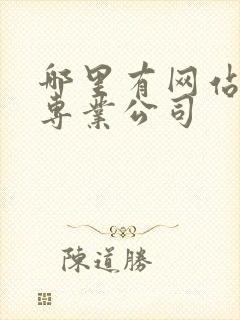 哪里有网站建设专业公司