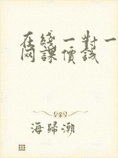 在线一对一外教网课价钱