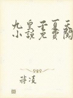 九皇子夏天穿越小说免费阅读完整