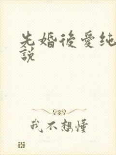 先婚后爱纯爱小说