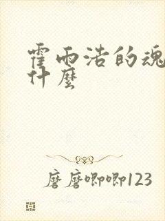 霍雨浩的魂环是什么