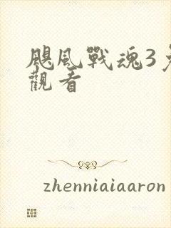 飓风战魂3免费观看