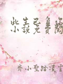 此生已负你情深小说免费阅读