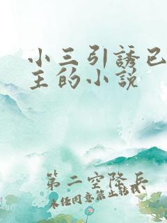 小三引诱已婚男主的小说