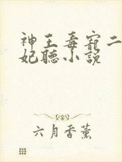 神王毒宠二嫁王妃听小说