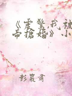 《震惊,我被女帝抢婚》小说