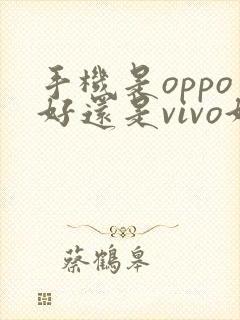 手机是oppo好还是vivo好?