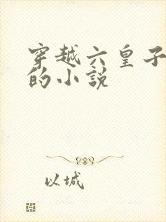 穿越六皇子李辰的小说