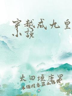 穿越成九皇子的小说