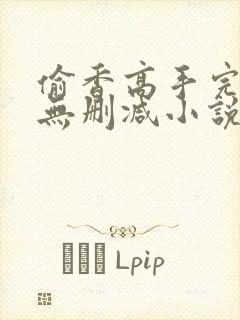偷香高手完整版无删减小说