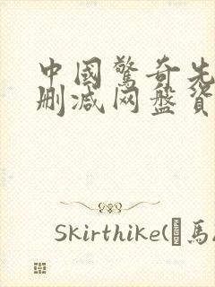 中国惊奇先生无删减网盘资源