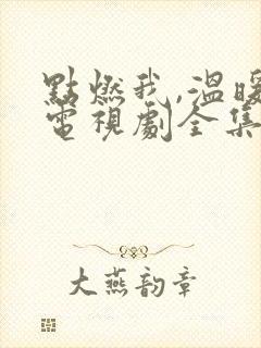 点燃我,温暖你电视剧全集免费