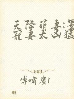 天降萌妻:墨少宠妻太凶猛