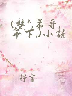 (双*,弟哥,年下,)小说