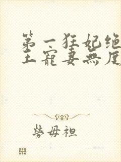 第一狂妃绝色邪王宠妻无度免费阅读