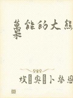 万能的大熊 小米