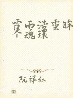 霍雨浩灵眸的九个魂环