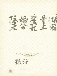 隐婚蜜爱:偏执老公宠上瘾小说全文