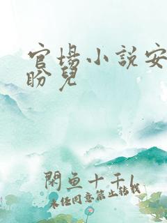 官场小说安江秦盼儿