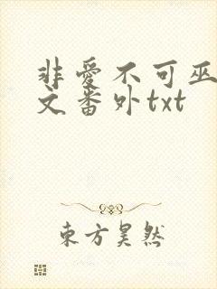 非爱不可巫哲全文番外txt