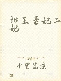 神王毒妃二嫁王妃