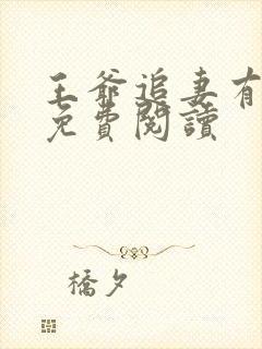 王爷追妻有点忙免费阅读