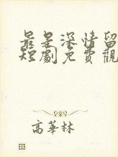 最是深情留不住短剧免费观看