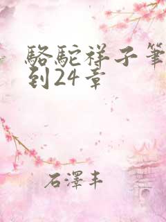 骆驼祥子笔记1到24章