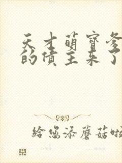 天才萌宝爹地你的债主来了短剧全集免费