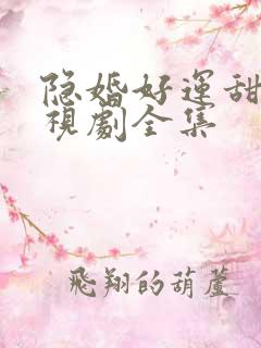 隐婚好运甜妻电视剧全集