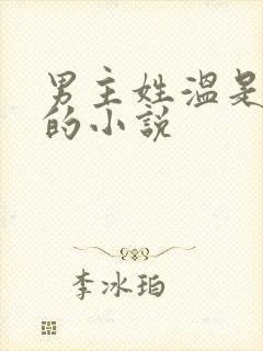 男主姓温是总裁的小说