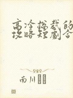 高冷总裁的追妻攻略短剧合集