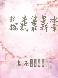 我老婆是冰山女总裁最新章节小说