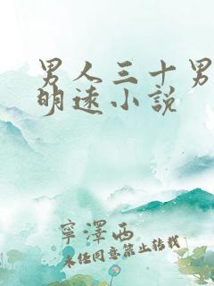 男人三十男主陆明远小说