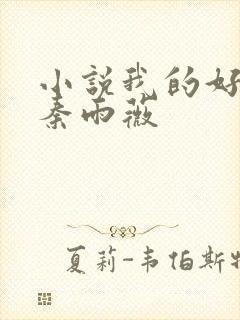 小说我的好儿媳秦雨薇