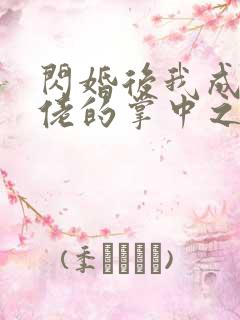 闪婚后我成了大佬的掌中之物6.9