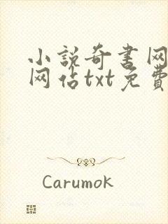 小说奇书网下载网站txt免费下载