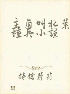 主角叫北叶的特种兵小说