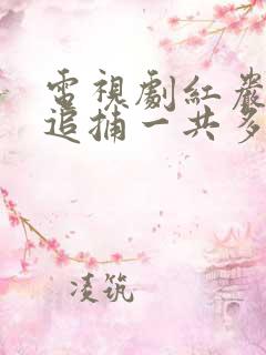 电视剧红岩下的追捕一共多少集