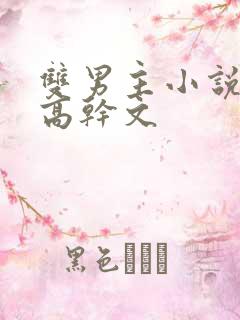 双男主小说推荐高干文