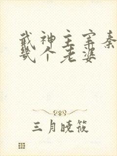 武神主宰秦尘有几个老婆