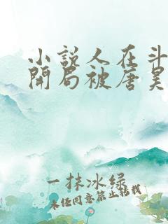 小说人在斗罗,开局被唐昊抛弃txt