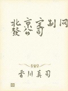 北京定制网站开发公司