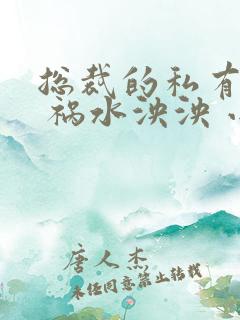 总裁的私有宝贝 祸水泱泱 小说